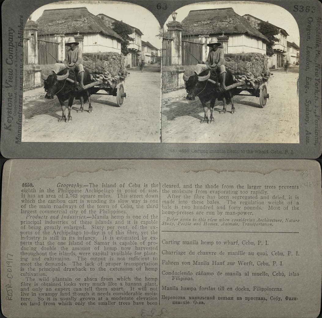 Carting manila hemp to the wharf, Cebu, P. I.